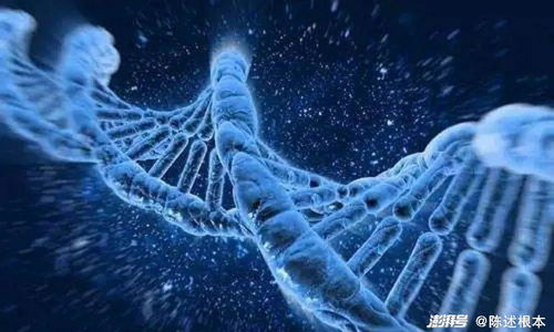 基于CRISPR技术的基因屏障开发 现状、挑战与未来展望