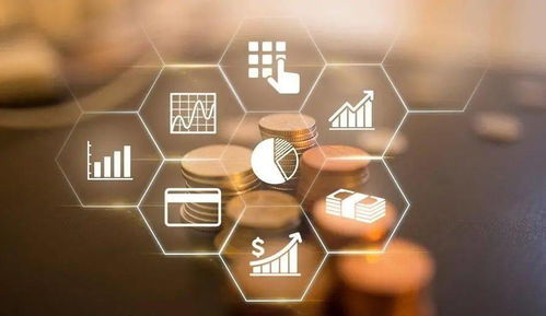 江苏省财政发挥财政金融协同效应，助力“六稳”“六保”技术咨询